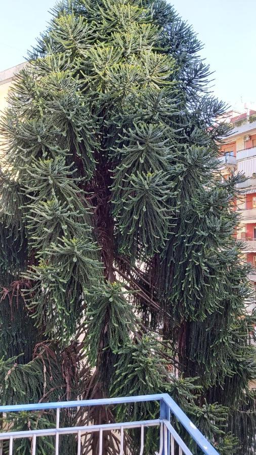 Апартаменты La Casa Del Cedro Неаполь Экстерьер фото
